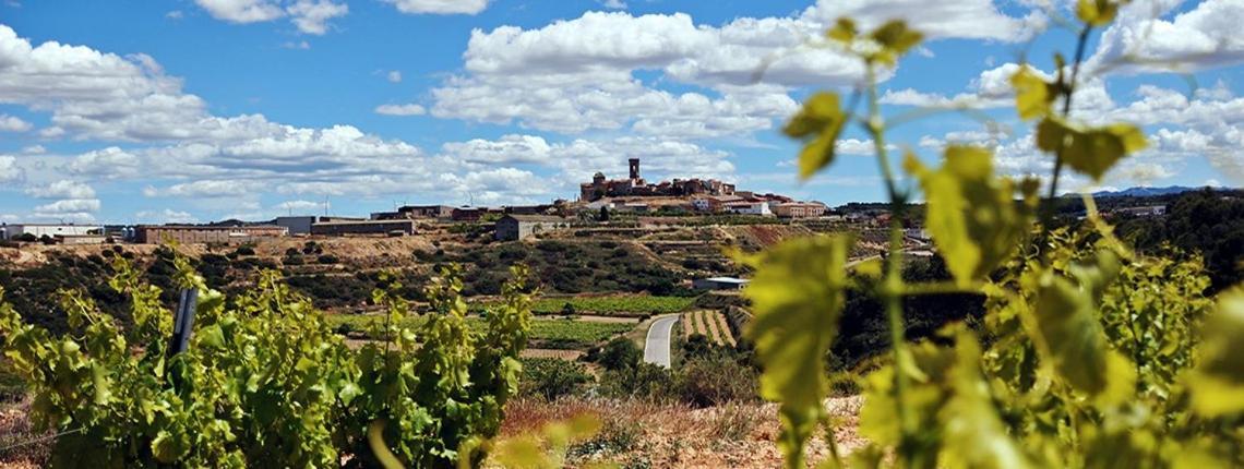 Apartaments Rurals Cal Parro, Batea Esterno foto